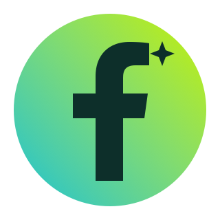 platform-facebook-mint Facebook